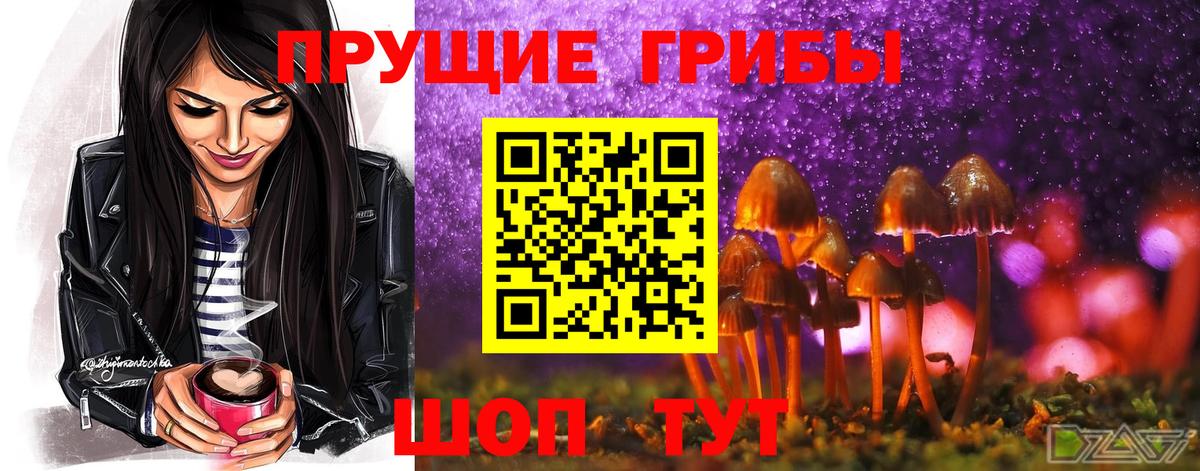 Галлюциногенные грибы Cubensis Волоколамск