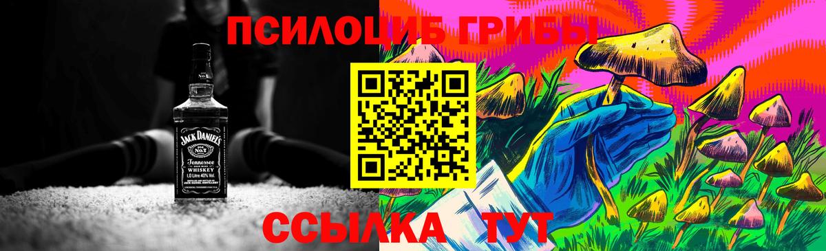 Волоколамск  Галлюциногенные грибы ЛСД  Вход с VPN 